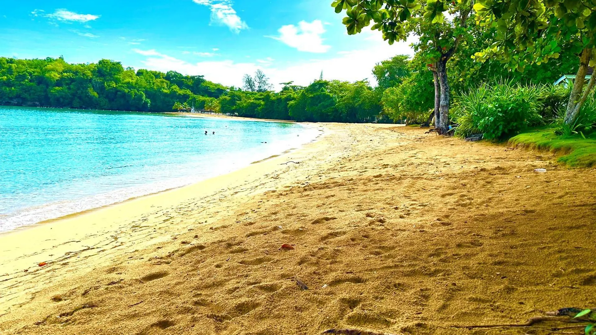 Sand And Tan Beach Hotel Ocho Rios